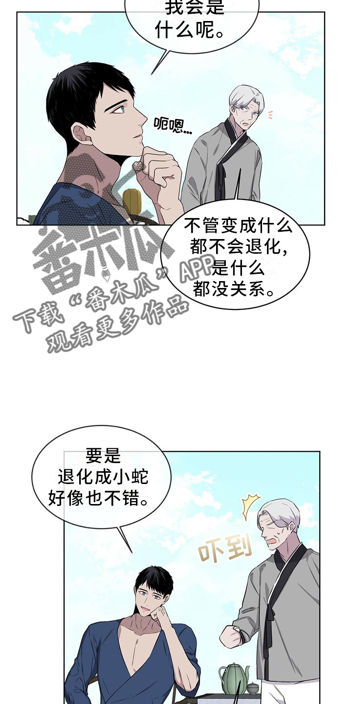 《森海之恋》漫画最新章节第33章：可怕免费下拉式在线观看章节第【6】张图片