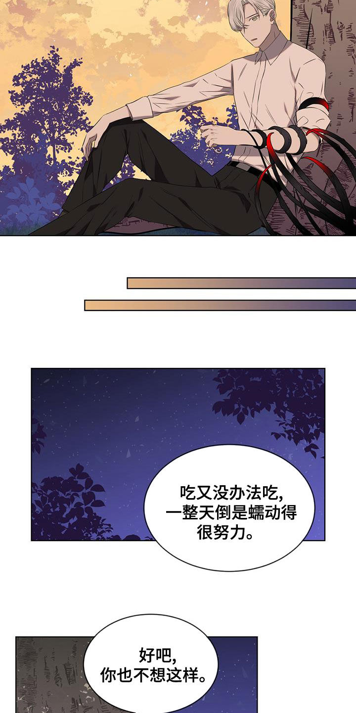 《森海之恋》漫画最新章节第34章：凶神免费下拉式在线观看章节第【6】张图片