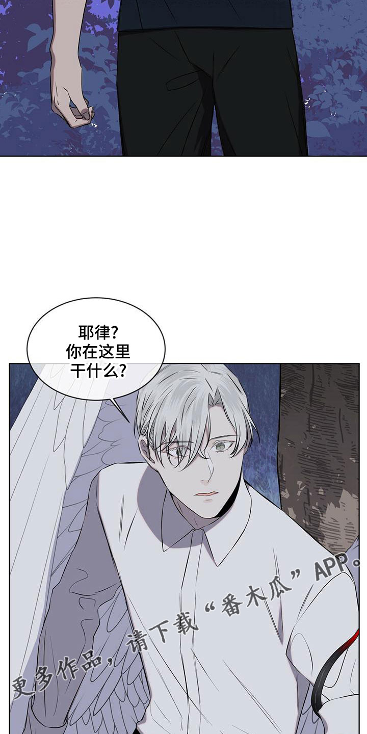 《森海之恋》漫画最新章节第36章：很想念免费下拉式在线观看章节第【13】张图片