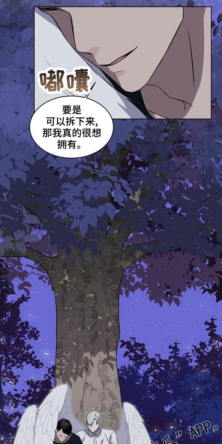 《森海之恋》漫画最新章节第37章：想拥有免费下拉式在线观看章节第【2】张图片