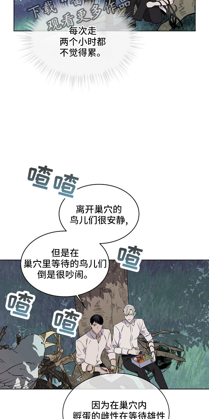 《森海之恋》漫画最新章节第39章：夜曲免费下拉式在线观看章节第【25】张图片