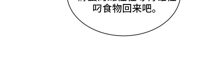 《森海之恋》漫画最新章节第39章：夜曲免费下拉式在线观看章节第【24】张图片