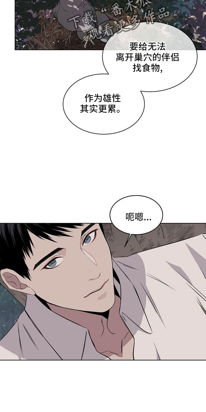 《森海之恋》漫画最新章节第39章：夜曲免费下拉式在线观看章节第【22】张图片