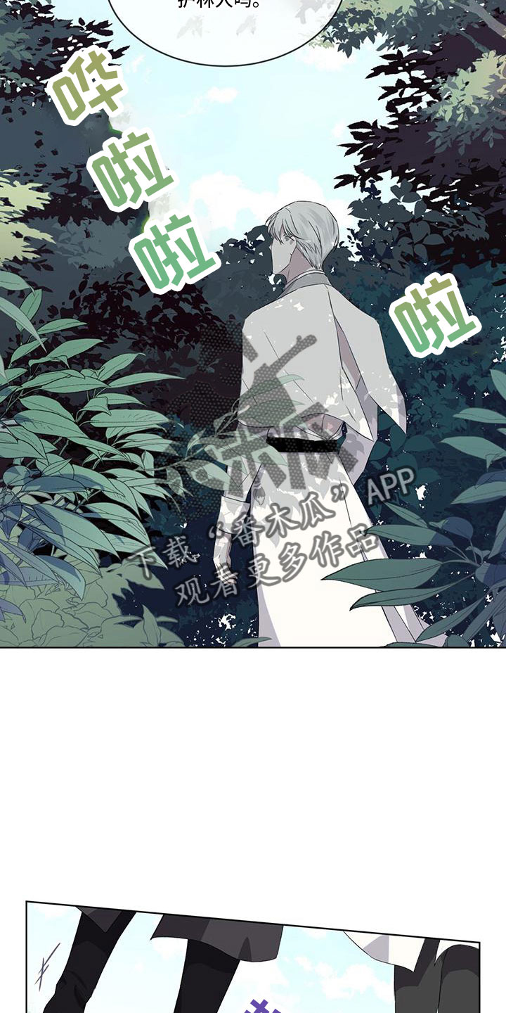 《森海之恋》漫画最新章节第45章：可以借免费下拉式在线观看章节第【9】张图片