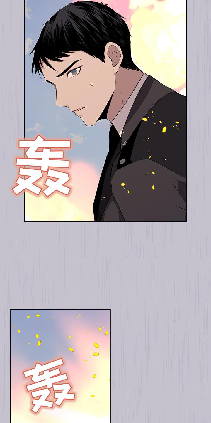 《森海之恋》漫画最新章节第49章：中断免费下拉式在线观看章节第【17】张图片