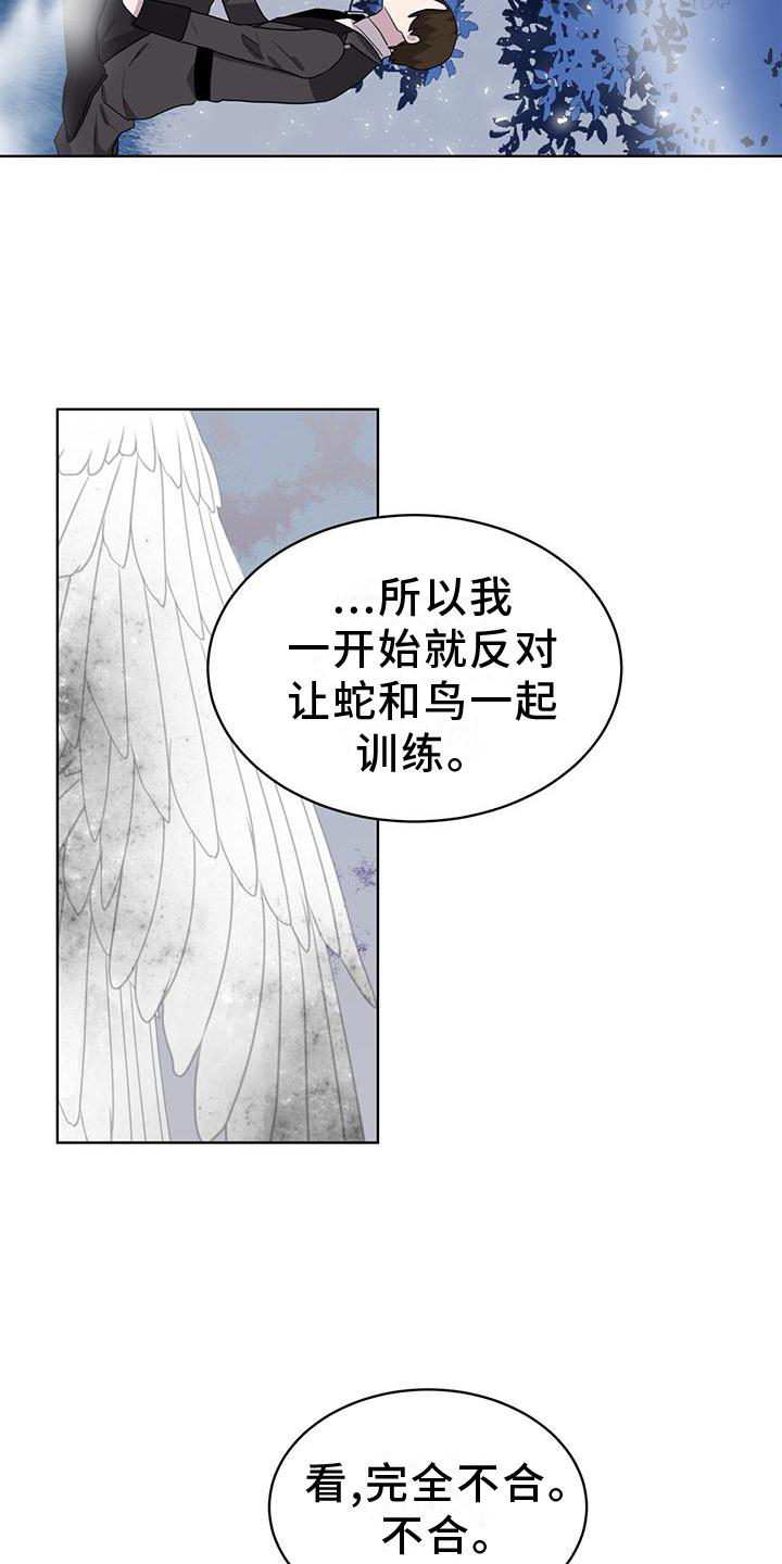 《森海之恋》漫画最新章节第49章：中断免费下拉式在线观看章节第【11】张图片