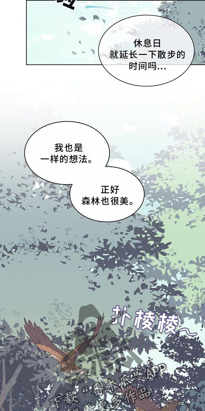 《森海之恋》漫画最新章节第52章：歌声免费下拉式在线观看章节第【8】张图片