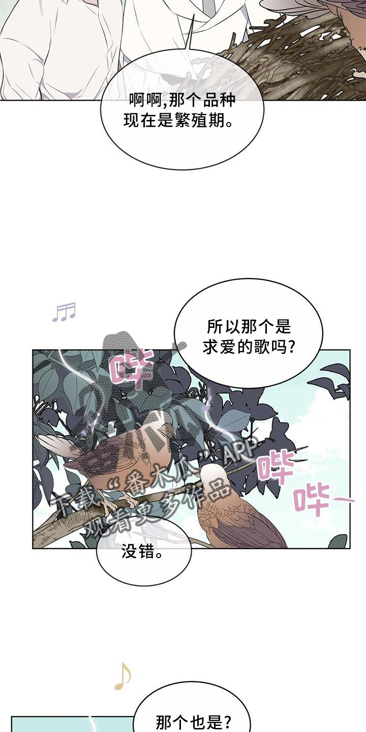 《森海之恋》漫画最新章节第52章：歌声免费下拉式在线观看章节第【6】张图片