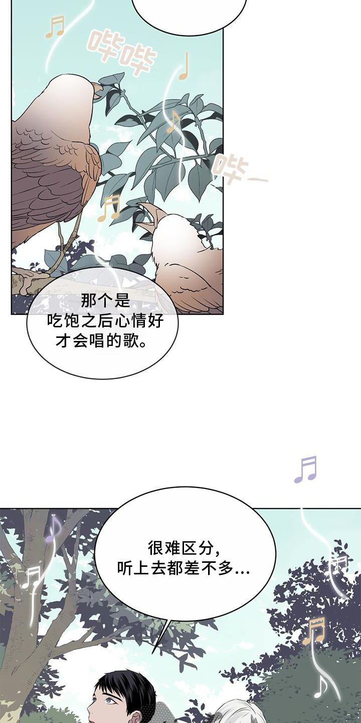 《森海之恋》漫画最新章节第52章：歌声免费下拉式在线观看章节第【5】张图片