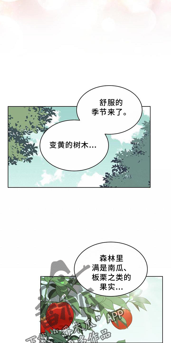 《森海之恋》漫画最新章节第53章：摘水果免费下拉式在线观看章节第【7】张图片