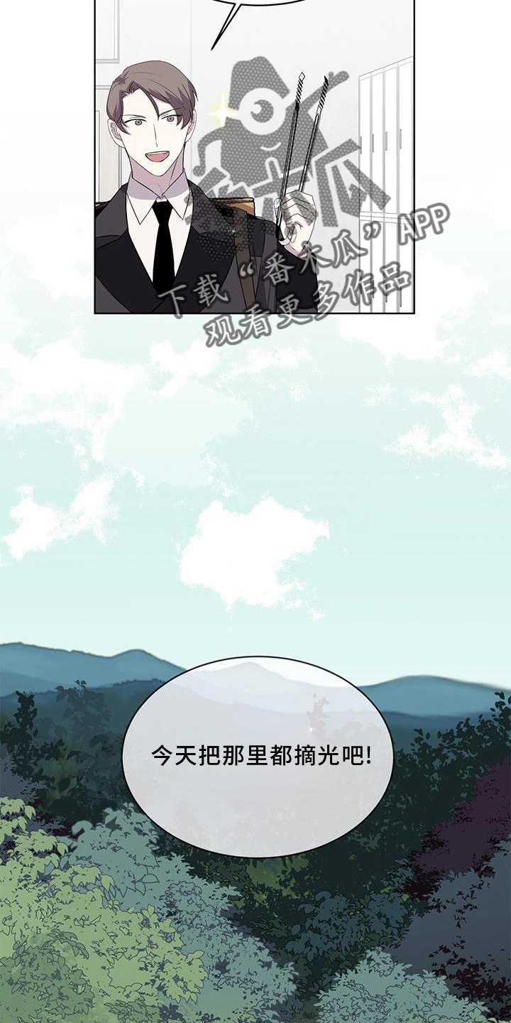 《森海之恋》漫画最新章节第53章：摘水果免费下拉式在线观看章节第【2】张图片