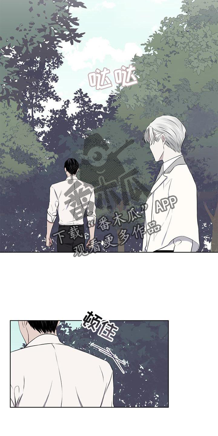 《森海之恋》漫画最新章节第53章：摘水果免费下拉式在线观看章节第【10】张图片