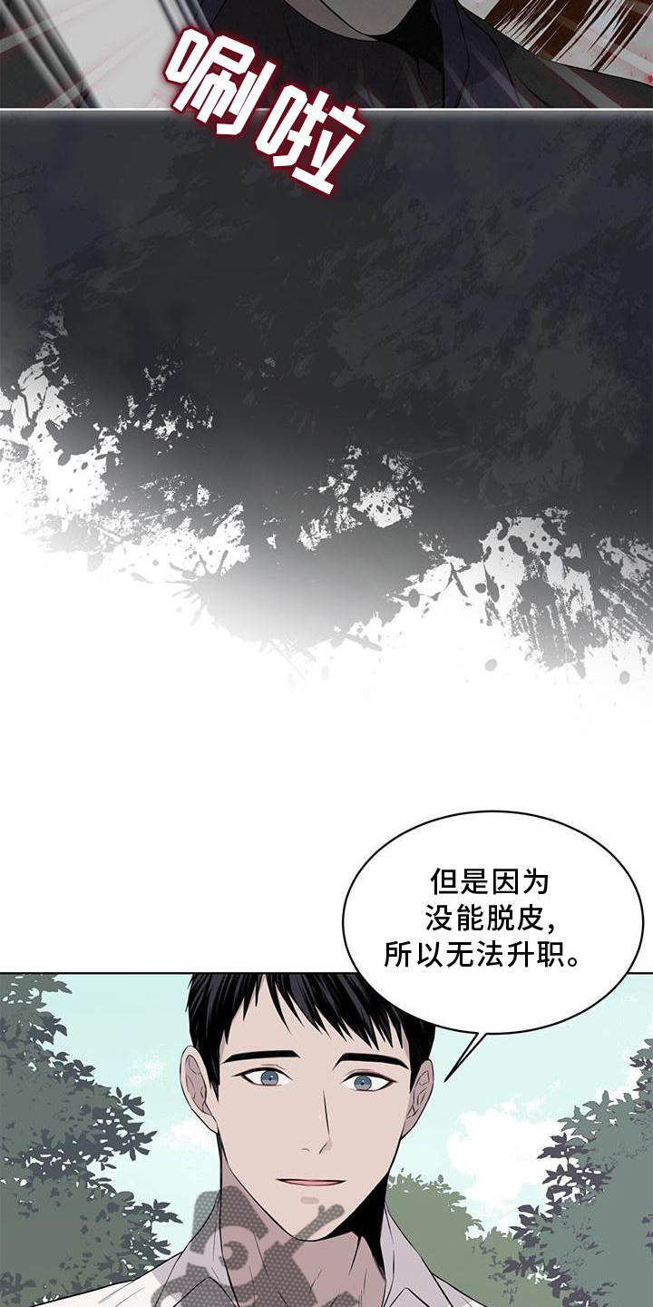 《森海之恋》漫画最新章节第53章：摘水果免费下拉式在线观看章节第【15】张图片