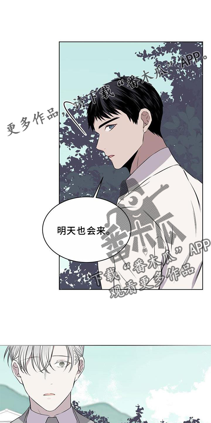 《森海之恋》漫画最新章节第53章：摘水果免费下拉式在线观看章节第【9】张图片