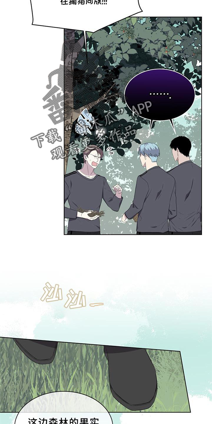 《森海之恋》漫画最新章节第54章：鸟蛋免费下拉式在线观看章节第【13】张图片