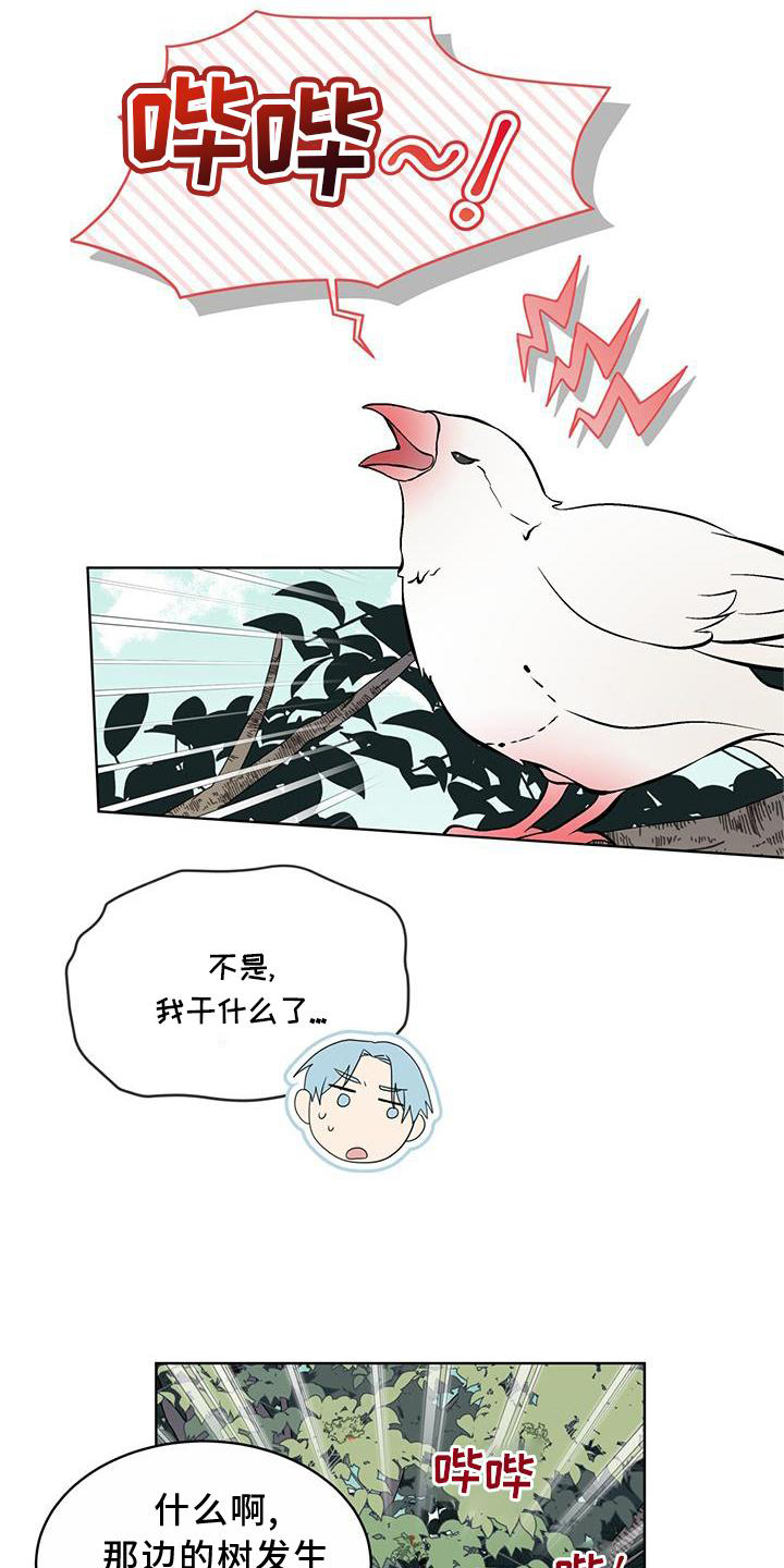 森海之恋-第54章：鸟蛋全彩韩漫标签