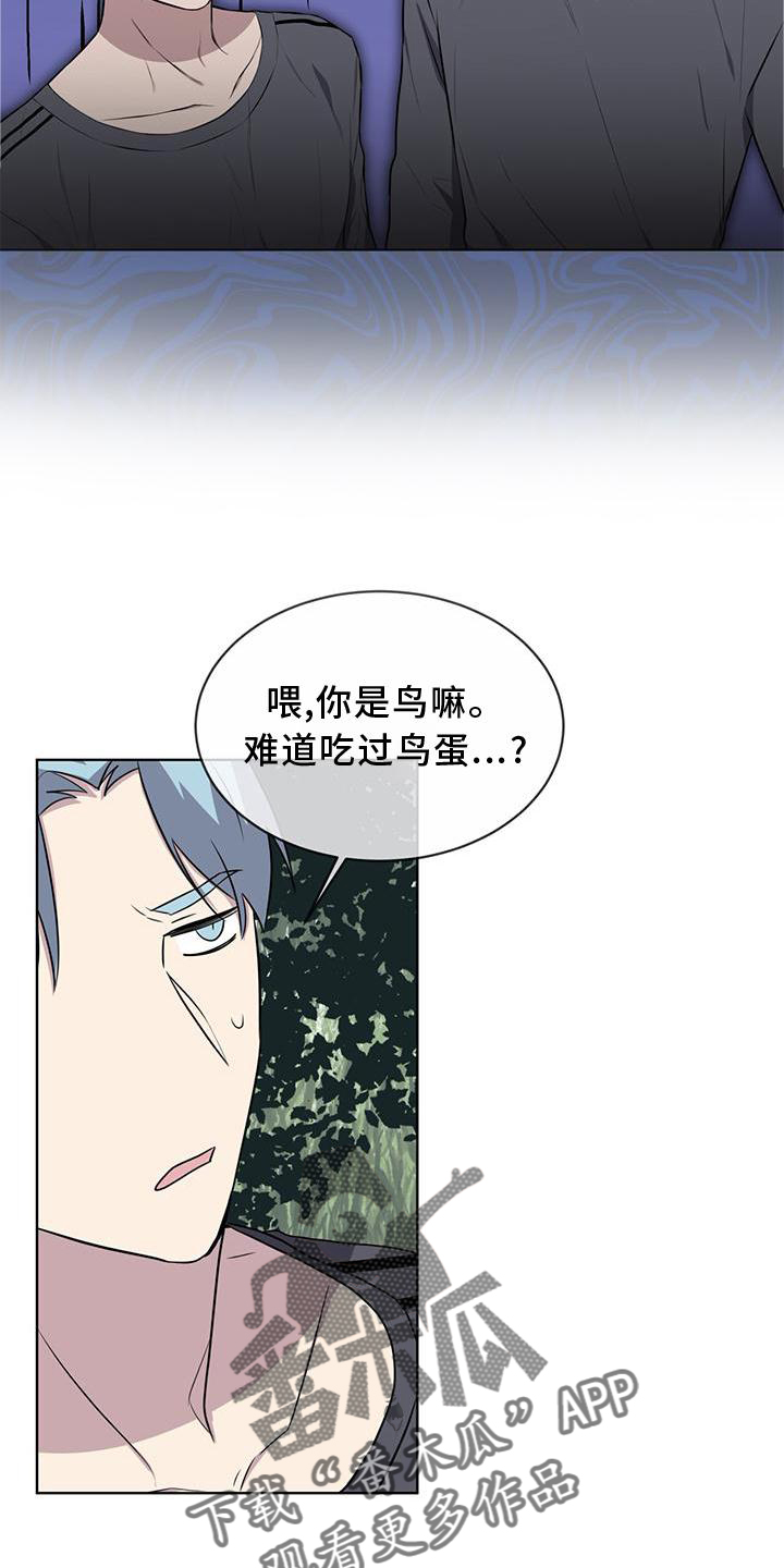 《森海之恋》漫画最新章节第54章：鸟蛋免费下拉式在线观看章节第【15】张图片