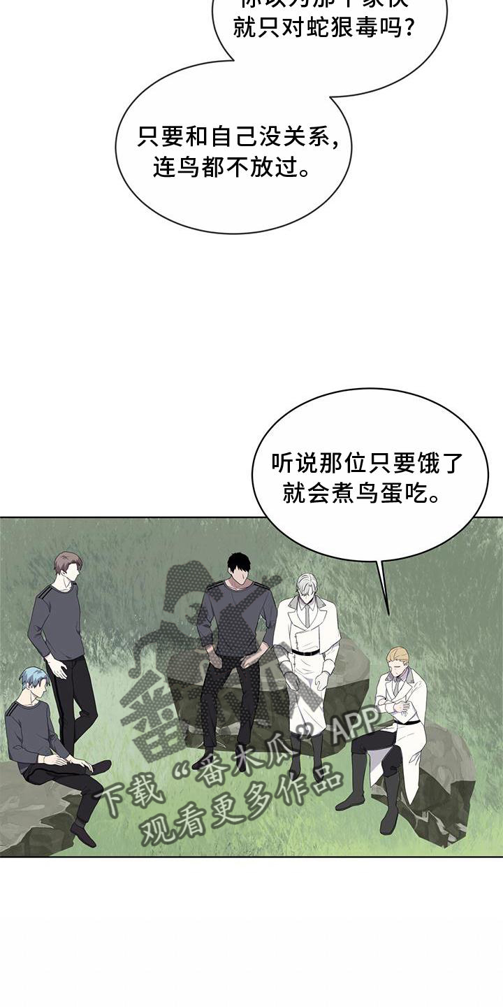 《森海之恋》漫画最新章节第54章：鸟蛋免费下拉式在线观看章节第【4】张图片