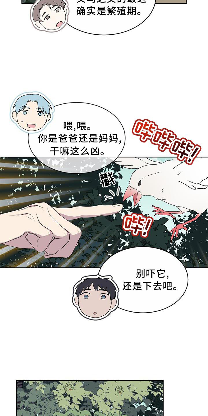 《森海之恋》漫画最新章节第54章：鸟蛋免费下拉式在线观看章节第【19】张图片