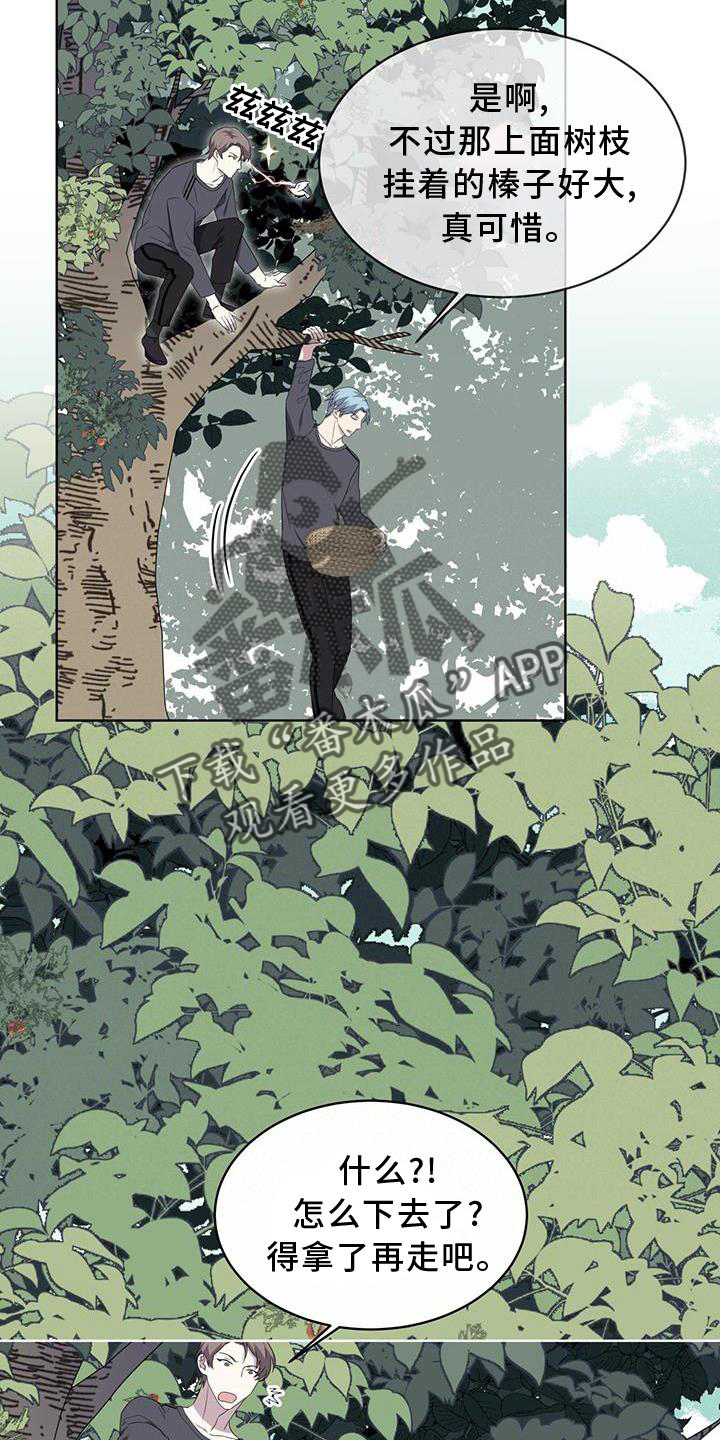 《森海之恋》漫画最新章节第54章：鸟蛋免费下拉式在线观看章节第【18】张图片