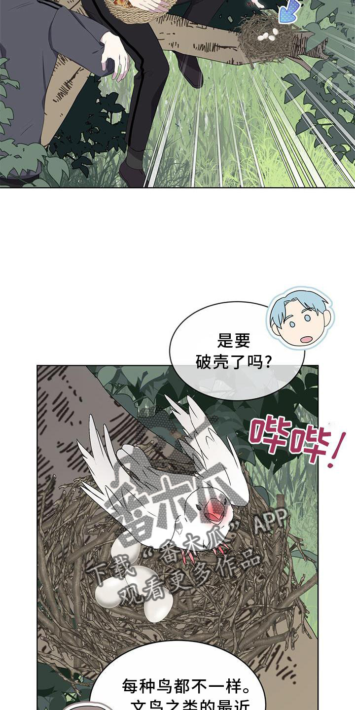 《森海之恋》漫画最新章节第54章：鸟蛋免费下拉式在线观看章节第【20】张图片