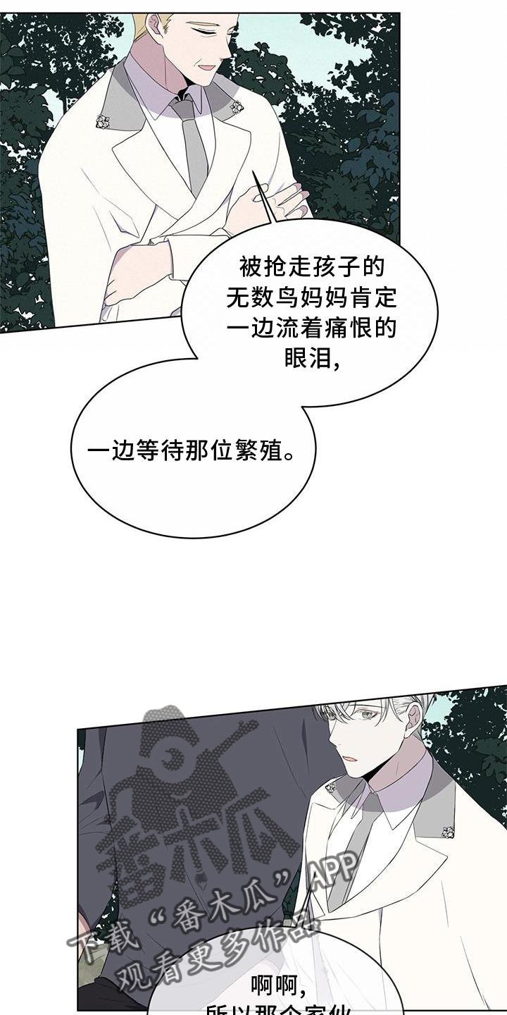 《森海之恋》漫画最新章节第54章：鸟蛋免费下拉式在线观看章节第【3】张图片