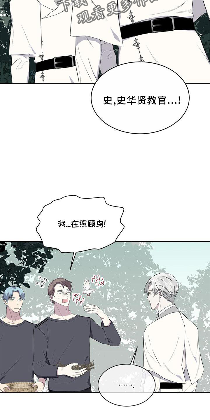 《森海之恋》漫画最新章节第54章：鸟蛋免费下拉式在线观看章节第【11】张图片