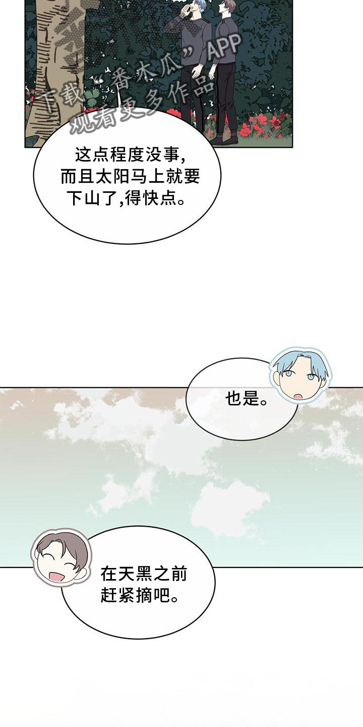 《森海之恋》漫画最新章节第55章：联想免费下拉式在线观看章节第【13】张图片