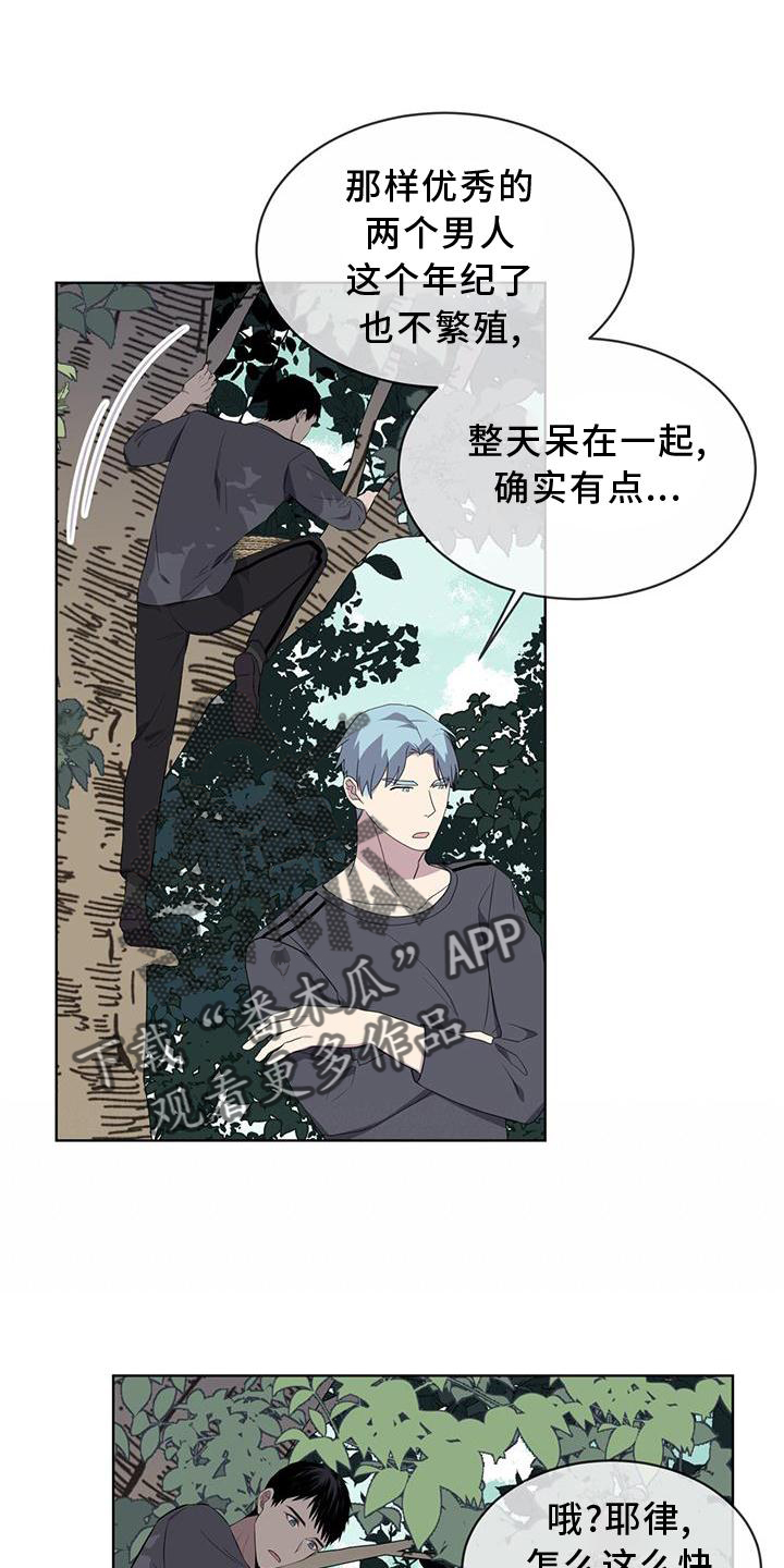 《森海之恋》漫画最新章节第55章：联想免费下拉式在线观看章节第【15】张图片