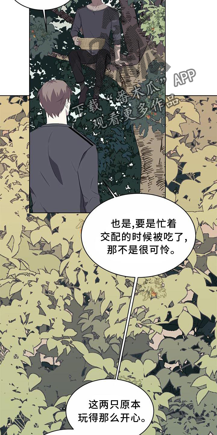 《森海之恋》漫画最新章节第55章：联想免费下拉式在线观看章节第【4】张图片