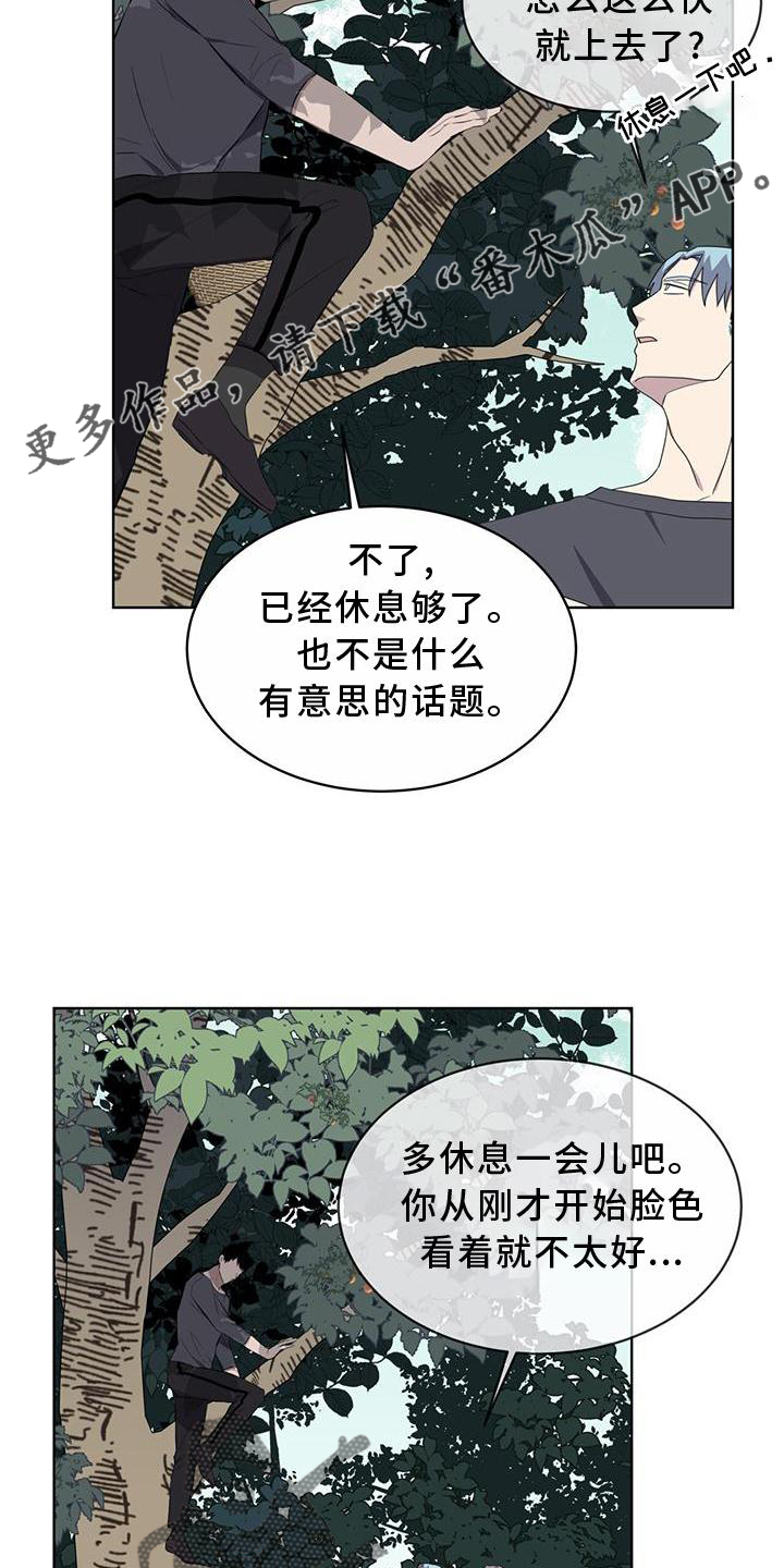 《森海之恋》漫画最新章节第55章：联想免费下拉式在线观看章节第【14】张图片