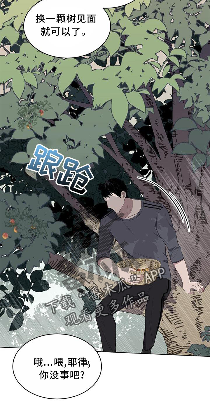 《森海之恋》漫画最新章节第55章：联想免费下拉式在线观看章节第【3】张图片