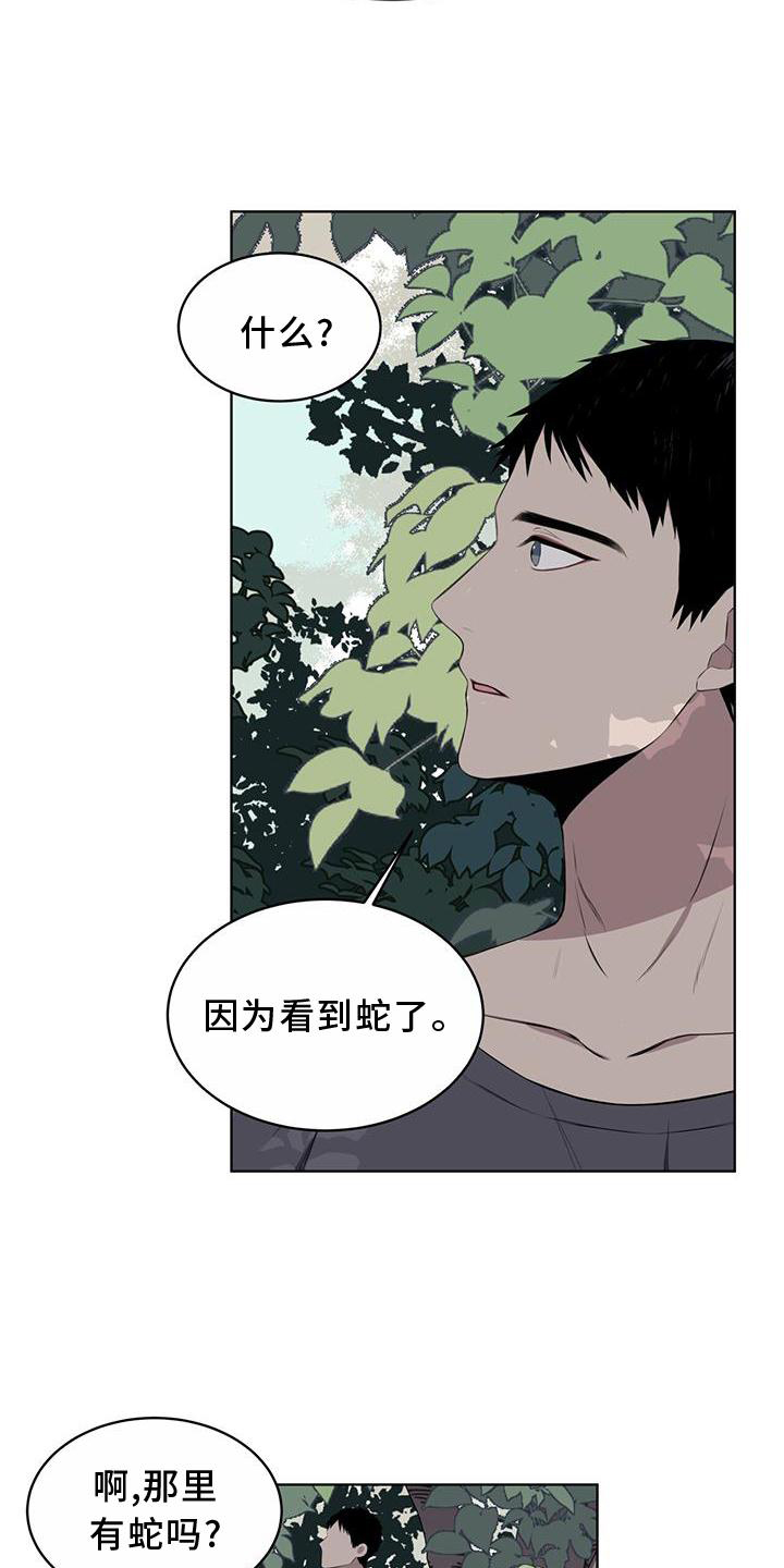 《森海之恋》漫画最新章节第55章：联想免费下拉式在线观看章节第【5】张图片