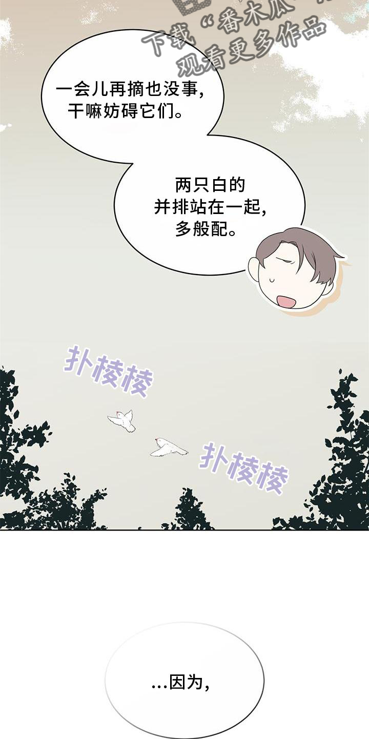 《森海之恋》漫画最新章节第55章：联想免费下拉式在线观看章节第【6】张图片