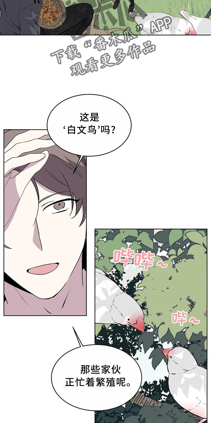 《森海之恋》漫画最新章节第55章：联想免费下拉式在线观看章节第【10】张图片