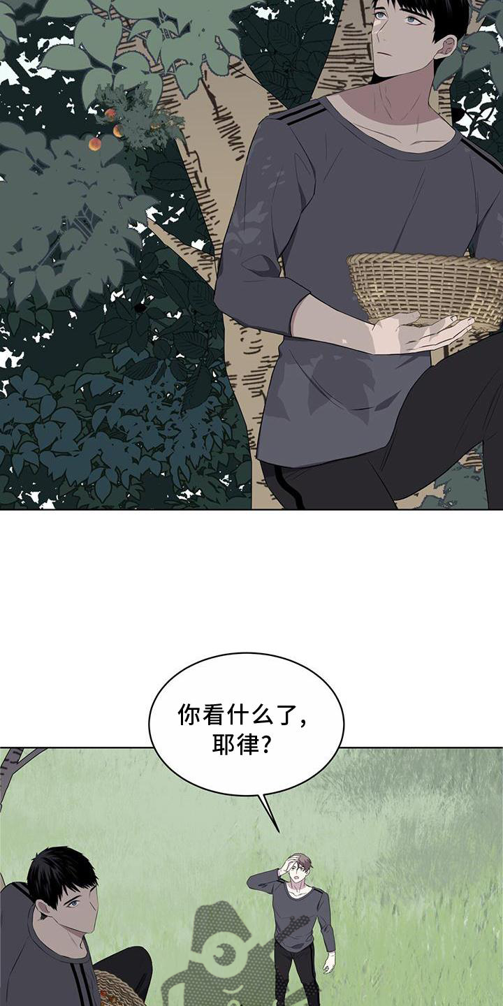 《森海之恋》漫画最新章节第55章：联想免费下拉式在线观看章节第【11】张图片