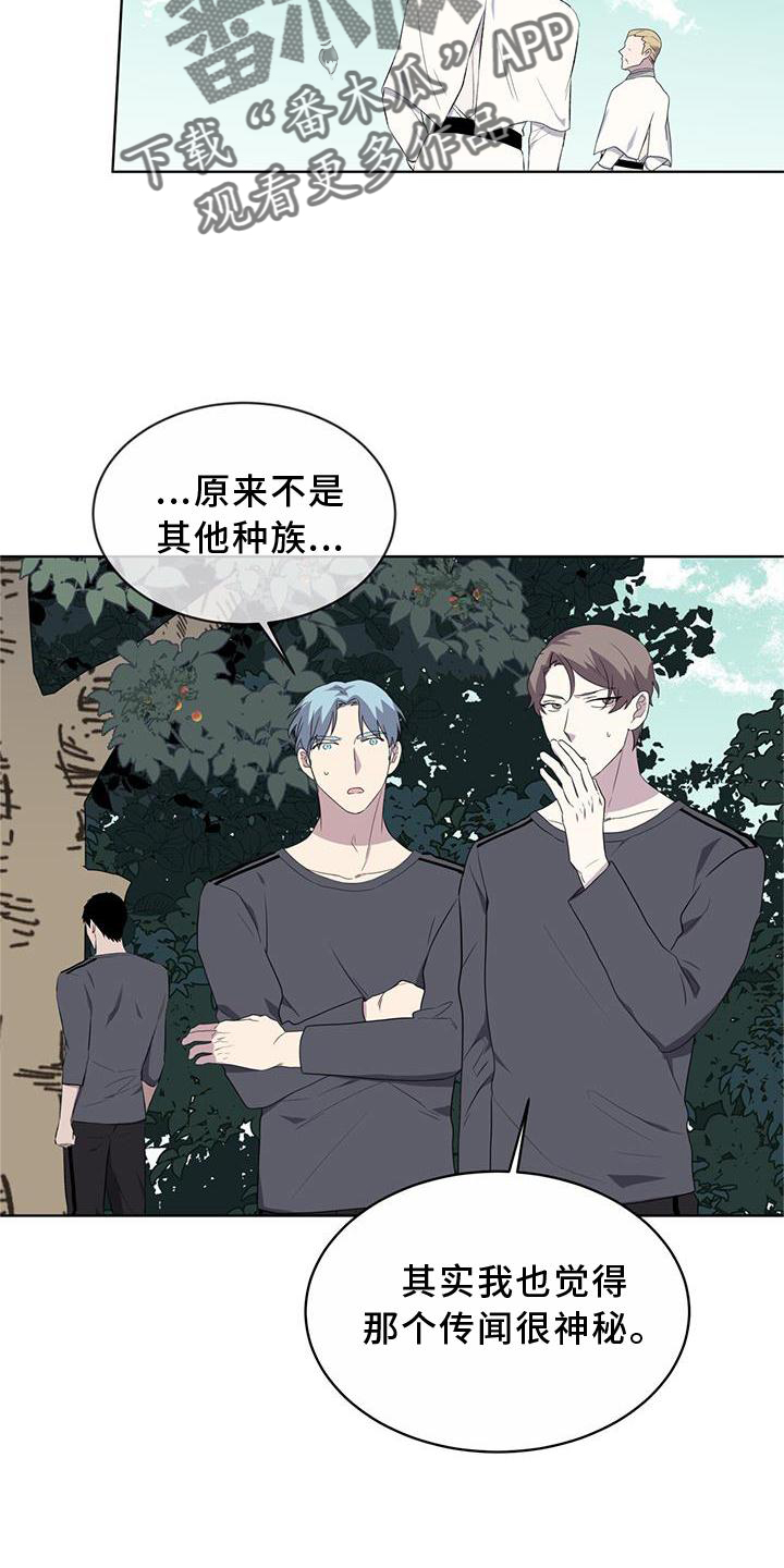 《森海之恋》漫画最新章节第55章：联想免费下拉式在线观看章节第【16】张图片