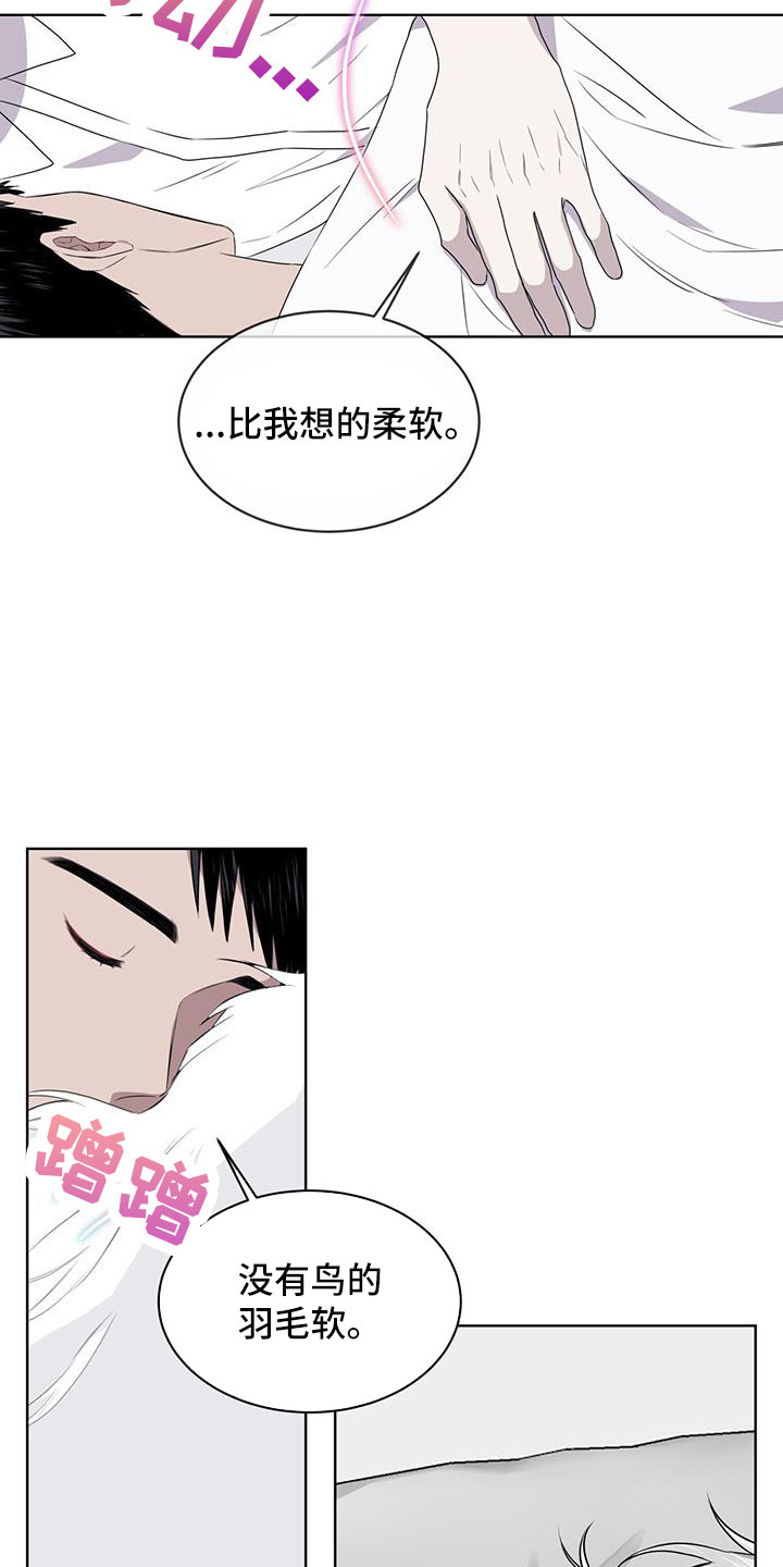 《森海之恋》漫画最新章节第57章：不能碰羽毛免费下拉式在线观看章节第【6】张图片