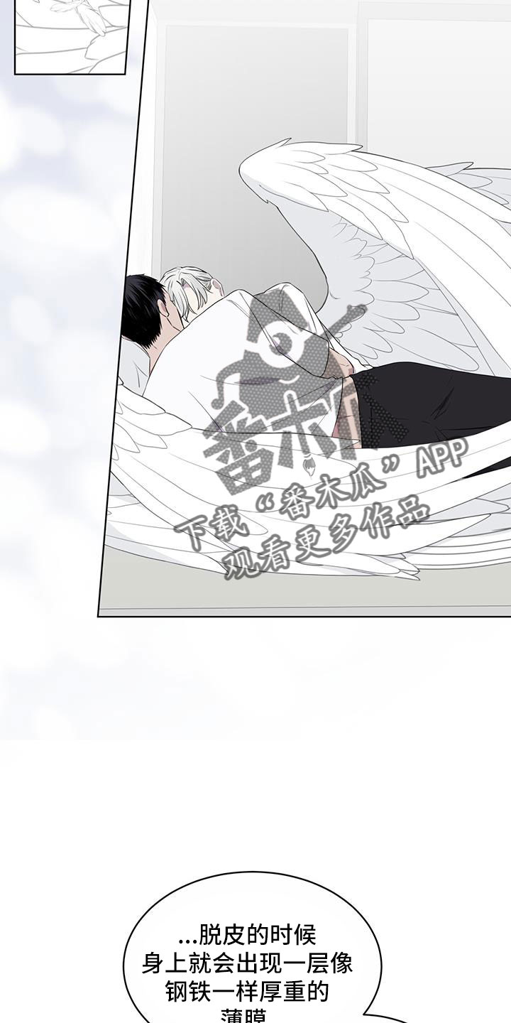 【森海之恋】漫画-（第57章：不能碰羽毛）章节漫画下拉式图片-13.jpg