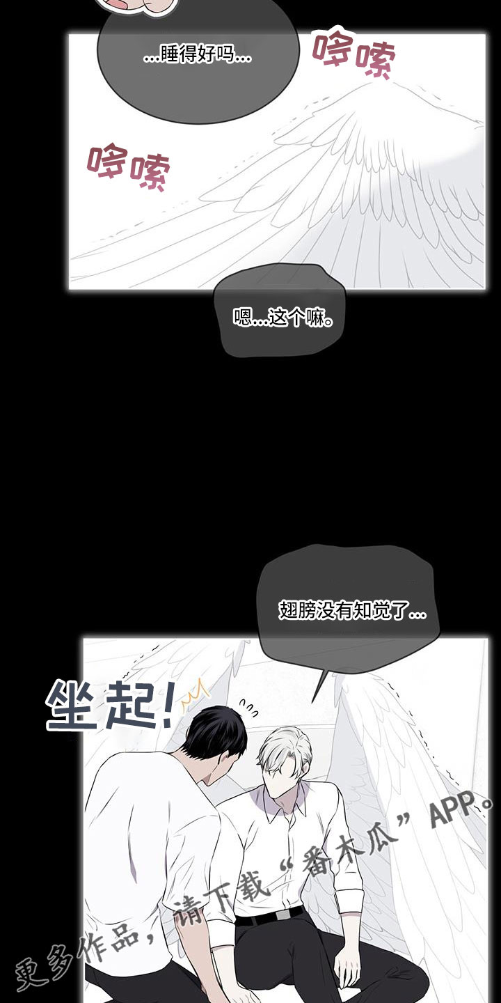 《森海之恋》漫画最新章节第59章：没有问出口免费下拉式在线观看章节第【13】张图片