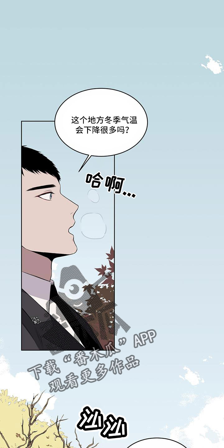 《森海之恋》漫画最新章节第60章：要辞职免费下拉式在线观看章节第【28】张图片