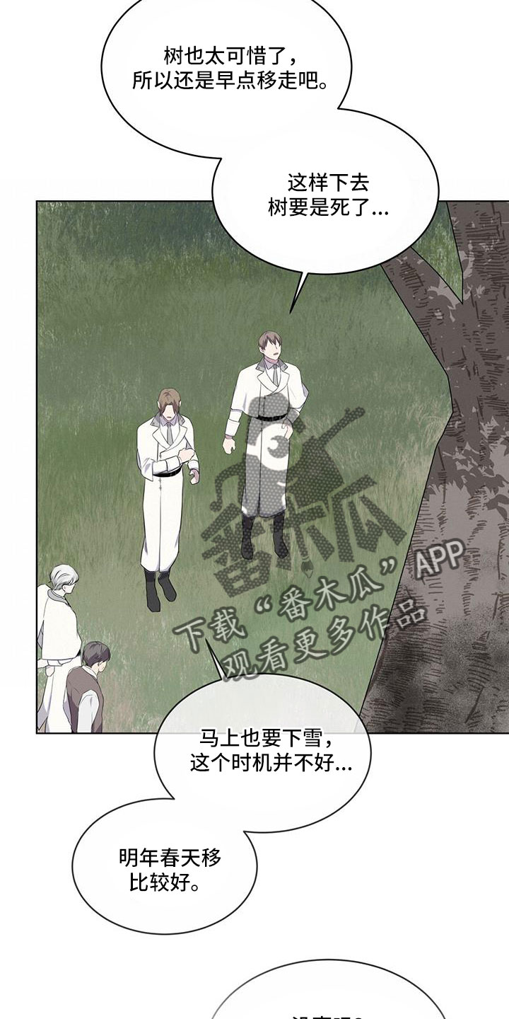 《森海之恋》漫画最新章节第62章： 吵架免费下拉式在线观看章节第【5】张图片