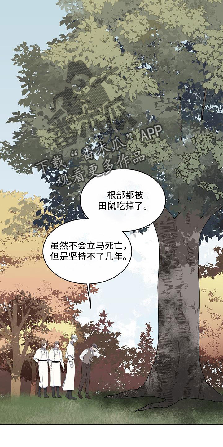 《森海之恋》漫画最新章节第62章： 吵架免费下拉式在线观看章节第【7】张图片