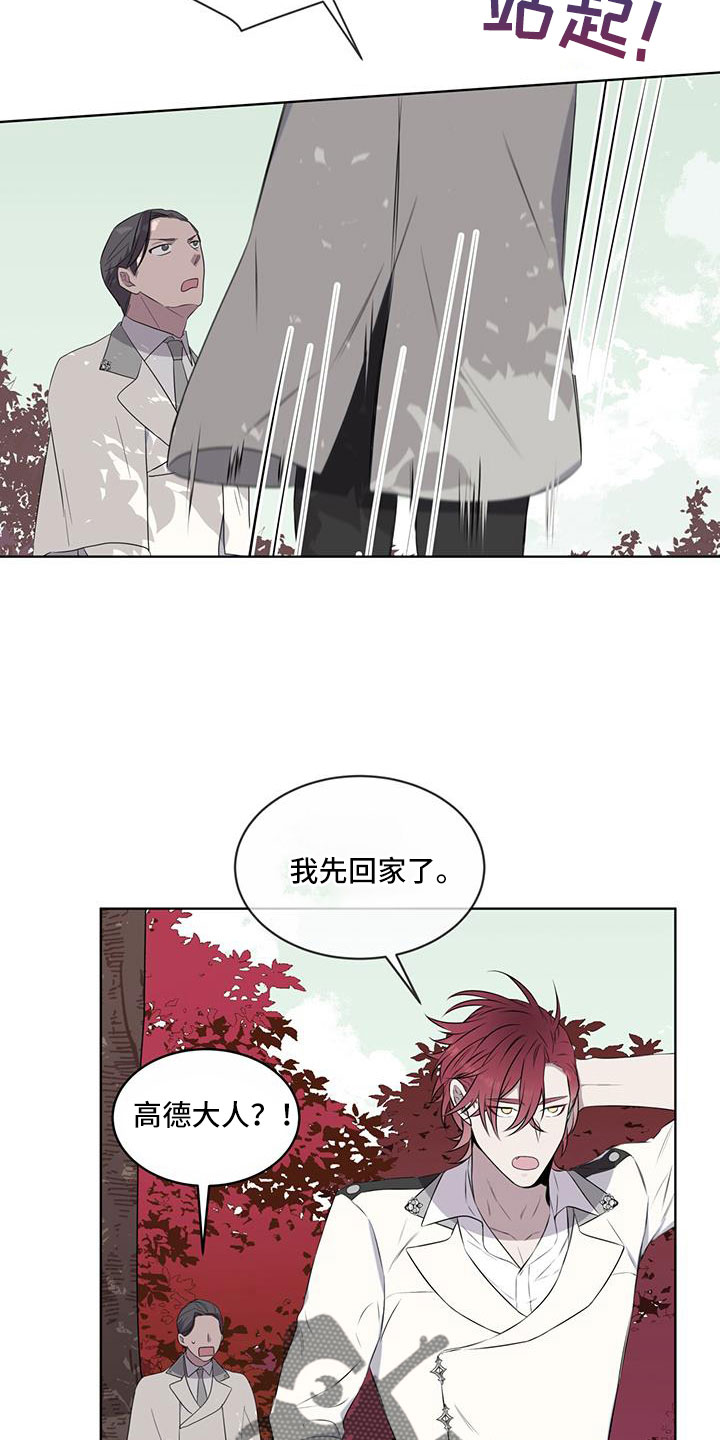 《森海之恋》漫画最新章节第64章：奇观免费下拉式在线观看章节第【5】张图片