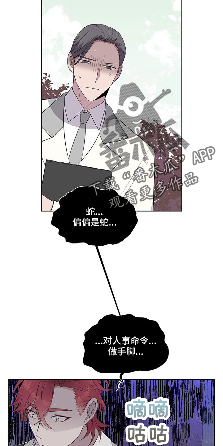 《森海之恋》漫画最新章节第64章：奇观免费下拉式在线观看章节第【18】张图片