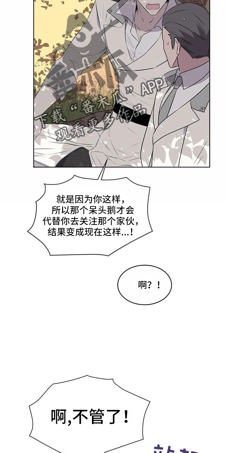 《森海之恋》漫画最新章节第64章：奇观免费下拉式在线观看章节第【6】张图片