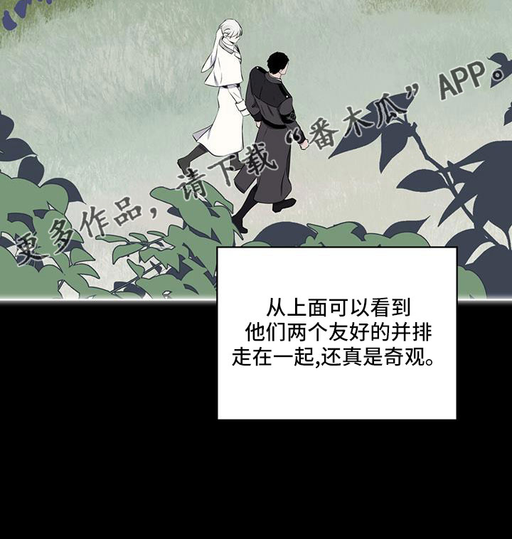 《森海之恋》漫画最新章节第64章：奇观免费下拉式在线观看章节第【1】张图片