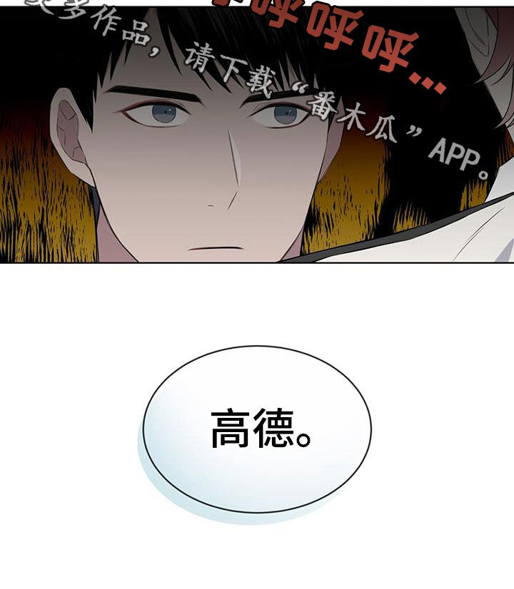 《森海之恋》漫画最新章节第66章：适可而止免费下拉式在线观看章节第【1】张图片