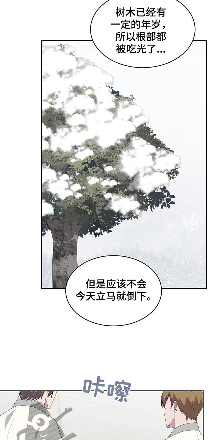 《森海之恋》漫画最新章节第67章：调令免费下拉式在线观看章节第【6】张图片