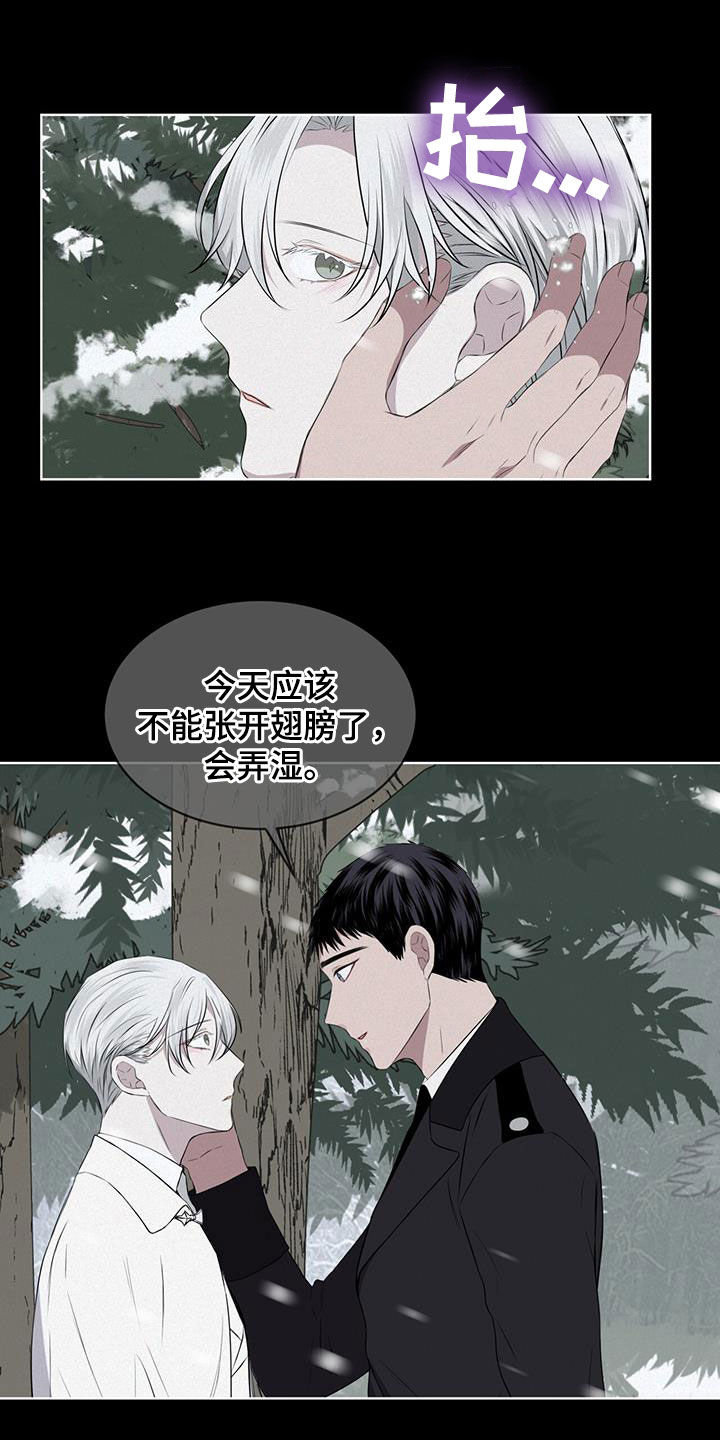 《森海之恋》漫画最新章节第68章：早已决定免费下拉式在线观看章节第【14】张图片